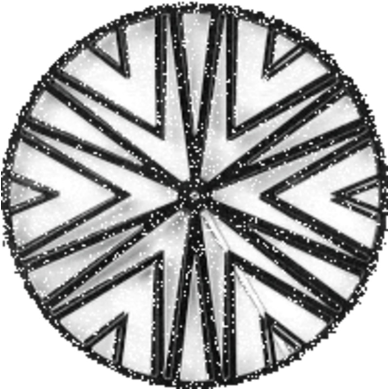 Rhizome 42mm