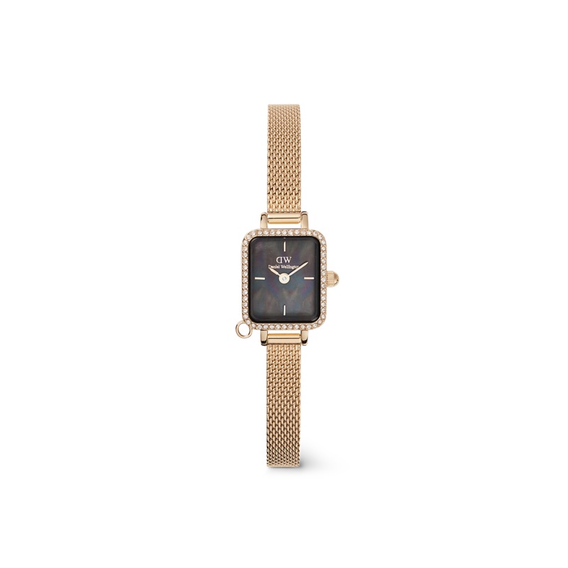 Daniel Wellington Quadro Mini Crystal Zodiac Evergold Watch