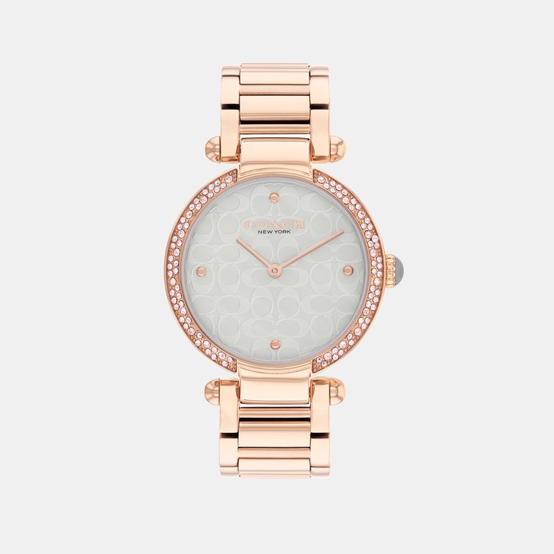 Cary Women Quartz Light Grey Mother Of Pearl Dial Analog Stainless Steel Watch 14504184
