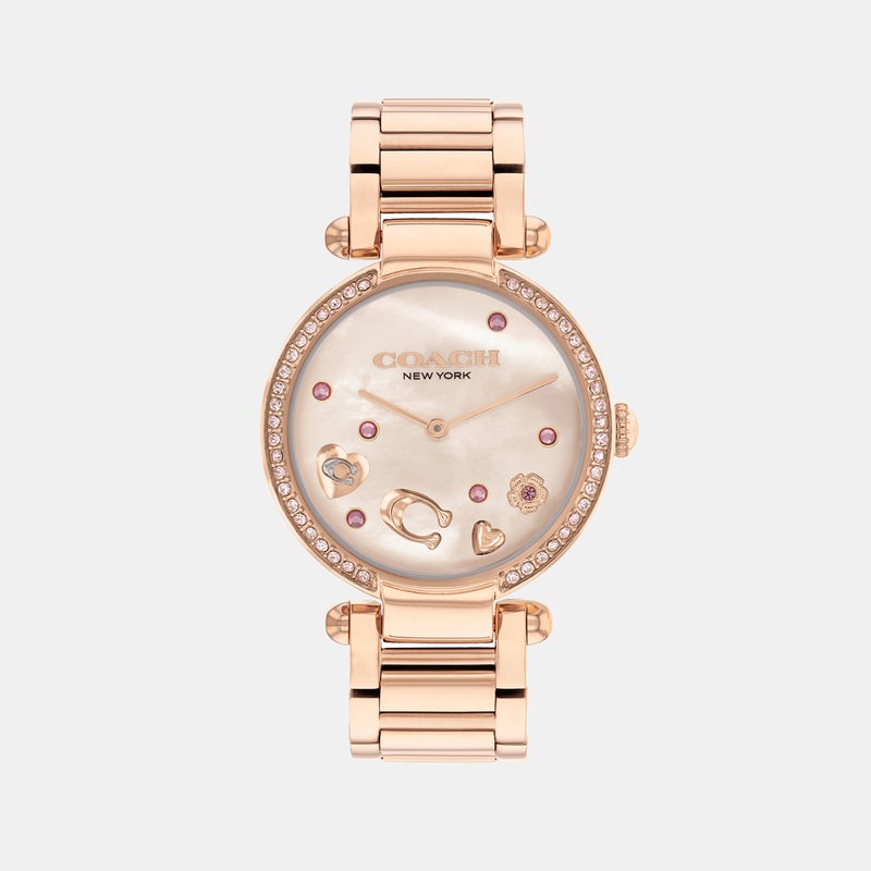 Cary Women Quartz Pink Mother Of Pearl Dial Analog Stainless Steel Watch 14504266