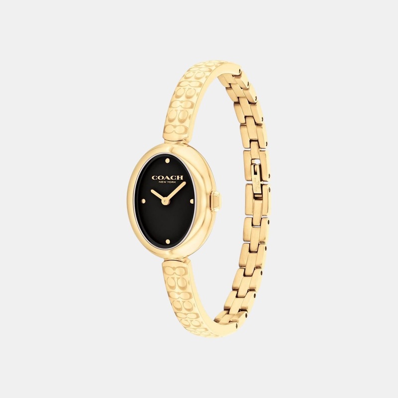 Sammy Women Quartz Black Dial Analog Stainless Steel Watch 14504521