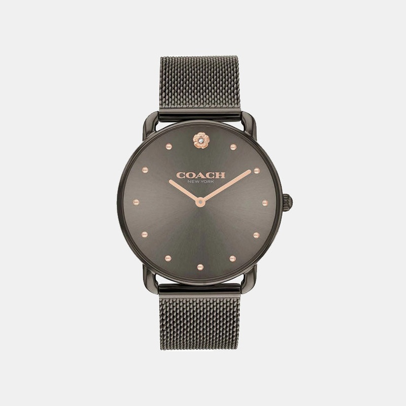 Elliot Women Quartz Brown Dial Analog Mesh Watch 14504210