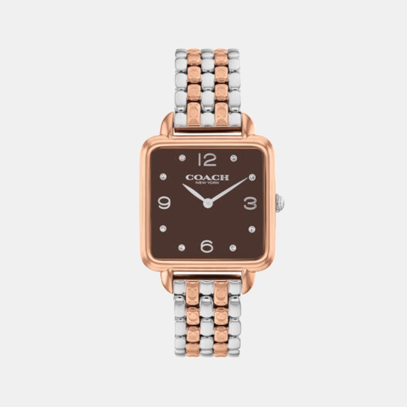Cass Women Quartz Coffee Brown Dial Analog Stainless Steel Watch 14504543