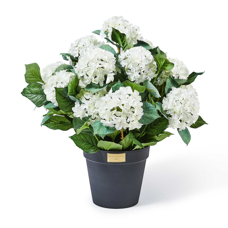 MacKenzie-Childs White Hydrangea Urn Filler *In Store Pickup Only*