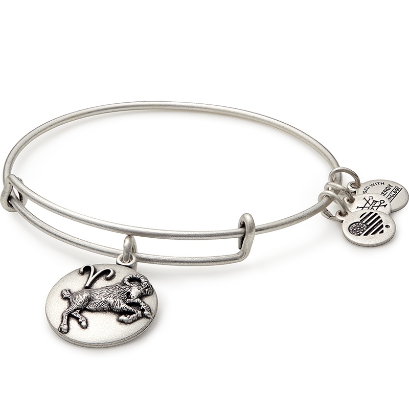 Aries Charm Bangle