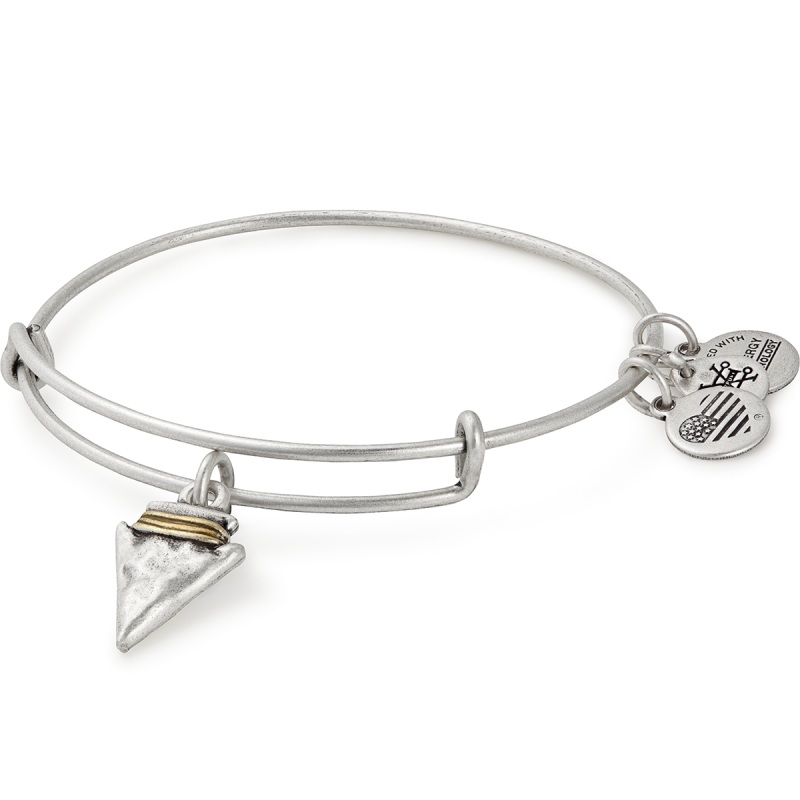 Arrowhead Charm Bangle