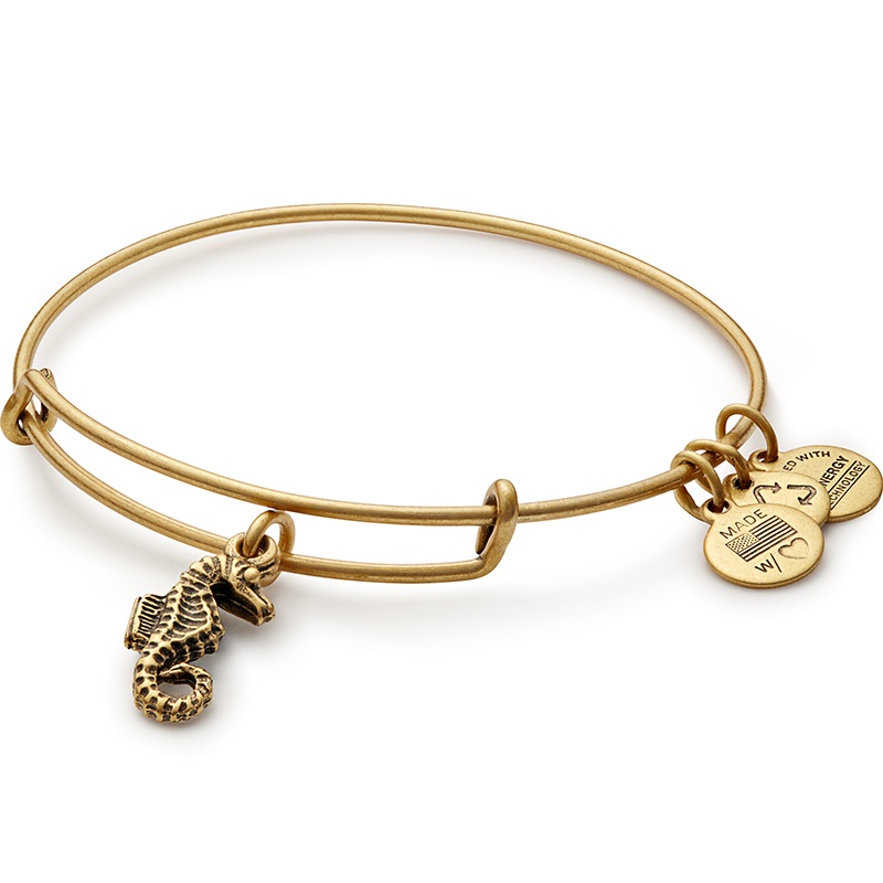 Seahorse Charm Bangle