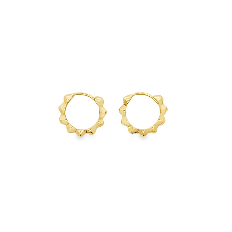 Brown & Co. Earrings