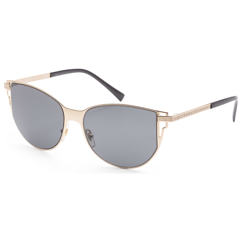 Versace Women's Sunglasses VE2211-10028756